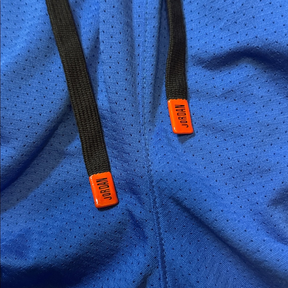 Air Jordan Mesh Shorts View 3